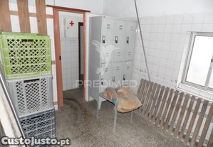 imagem_18
