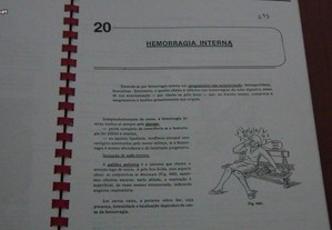 imagem_7