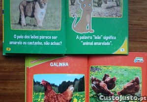 imagem_5
