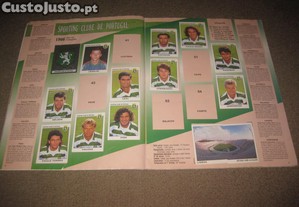 imagem_5