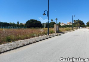imagem_11
