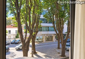 imagem_26
