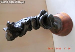 imagem_8