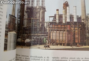 imagem_6
