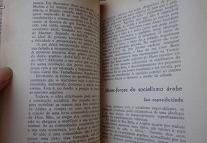 imagem_8