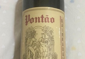 Garrafa de vinho tinto Bairrada Pontão, reserva