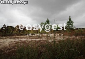 imagem_6