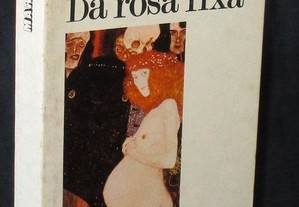 Livro Da Rosa Fixa Maria Velho da Costa 1ª edição Moraes