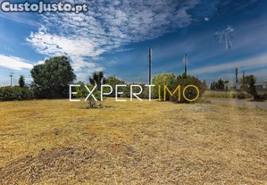 imagem_13