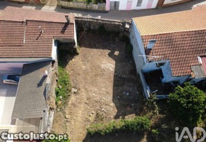 imagem_7