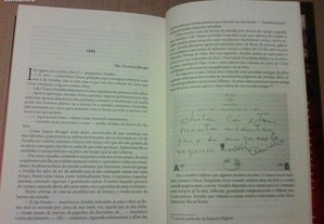 imagem_8
