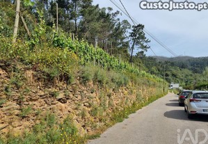 imagem_12