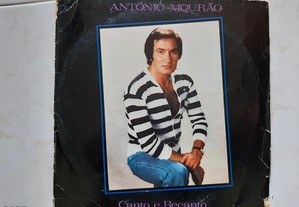 Discos LP musica portuguesa Antonio mourao