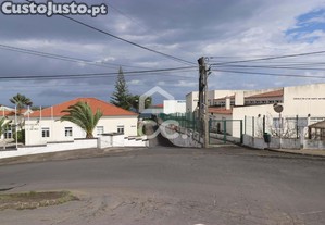 imagem_11