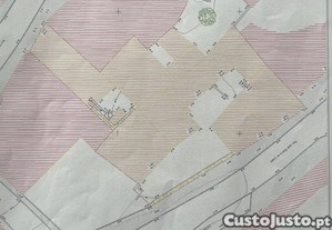 imagem_10