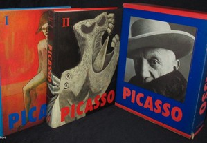 Livros Pablo Picasso 1881-1973 Taschen 2 volumes + caixa arquivadora