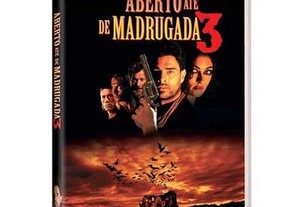 imagem_7