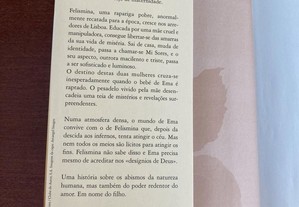 imagem_3
