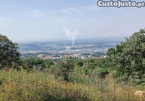 Terreno rústico 4,983 ha - portalegre
