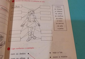imagem_2