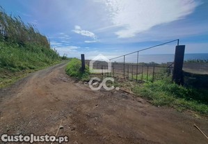 imagem_7