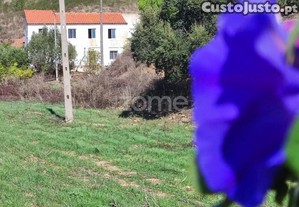 Moradia Familiar Para Remodelação Com Terreno