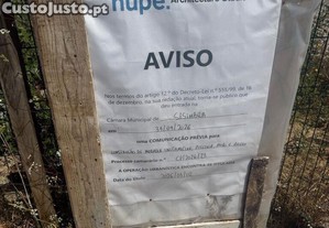 imagem_19