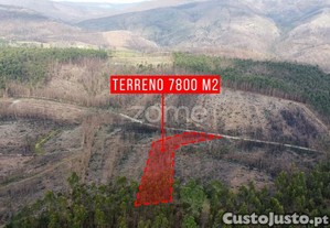 Terreno Florestal Urbanizável Com 7.800 M2 -...