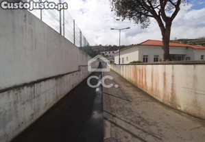 imagem_9