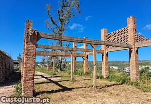 imagem_16
