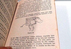 imagem_7