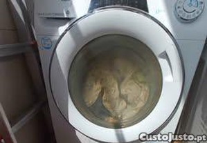 imagem_1