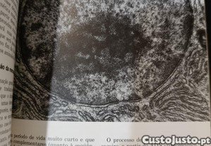 imagem_7