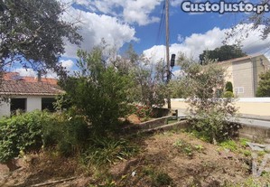 imagem_26