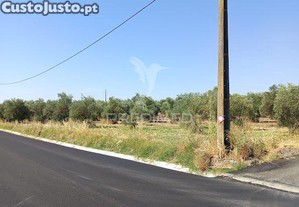 imagem_32