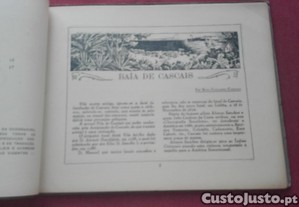 imagem_2