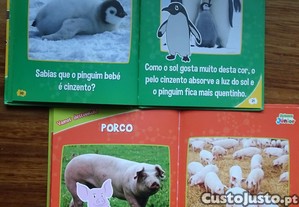 imagem_8