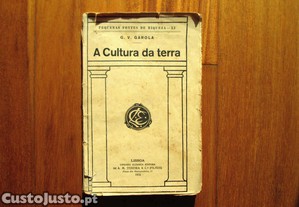 imagem_7