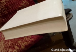 imagem_7