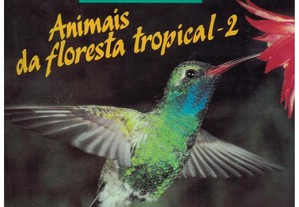 imagem_2