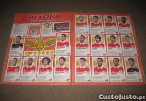 imagem_3