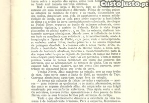imagem_6