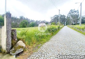 imagem_14