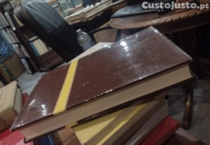 imagem_6
