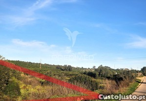 imagem_10