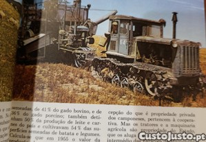 imagem_6