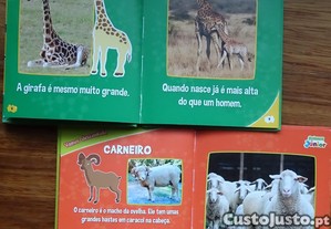 imagem_3