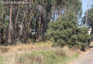 imagem_12