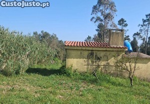 imagem_9