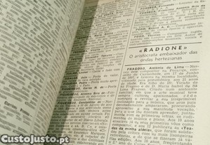 imagem_6